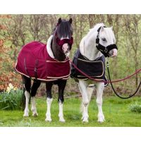 HB showtime harry en hector dutch crown little sizes